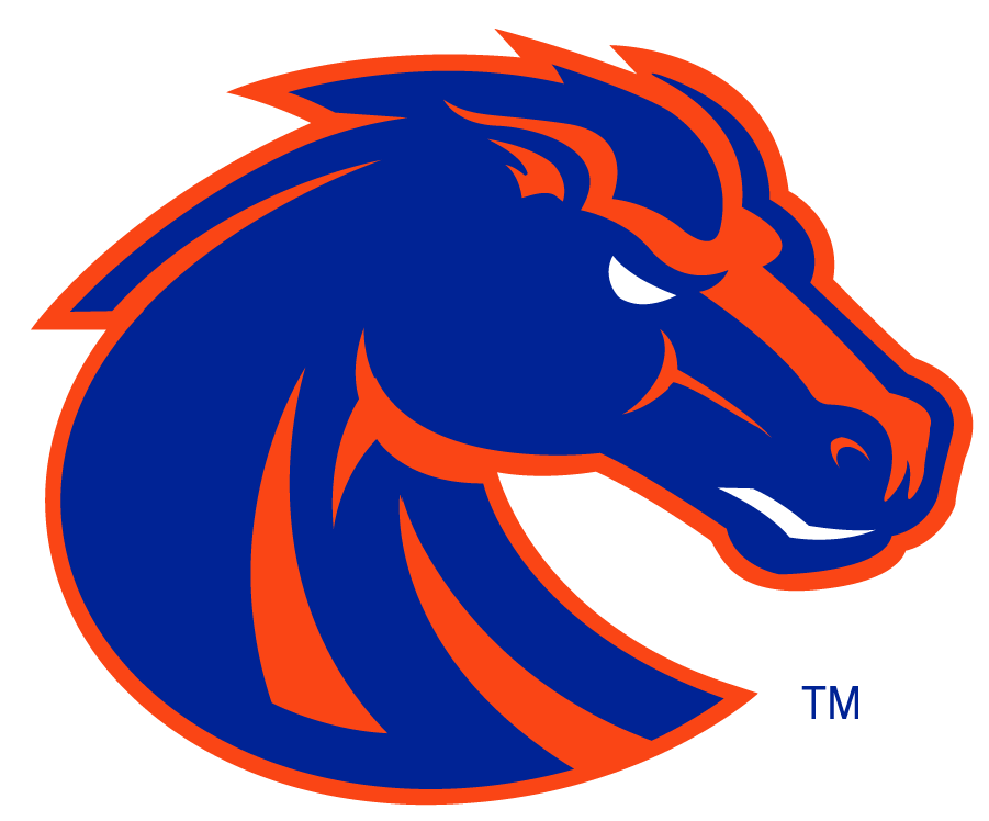 Boise State Broncos 2002-2012 Secondary Logo v6 DIY iron on transfer (heat transfer)